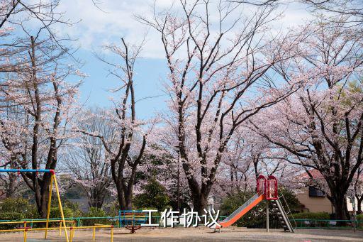工作協(xié)議