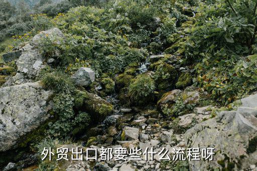 完整的外貿(mào)出口流程，外貿(mào)出口都要些什么流程呀