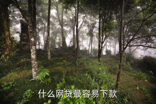 最好下款的網(wǎng)貸平臺(tái)，那個(gè)網(wǎng)貸好下款呀