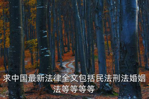 求中國最新法律全文包括民法刑法婚姻法等等等等