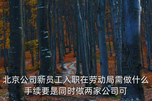 怎么查員工入職兩家公司，北京公司新員工入職在勞動局需做什么手續(xù)要是同時做兩家公司可