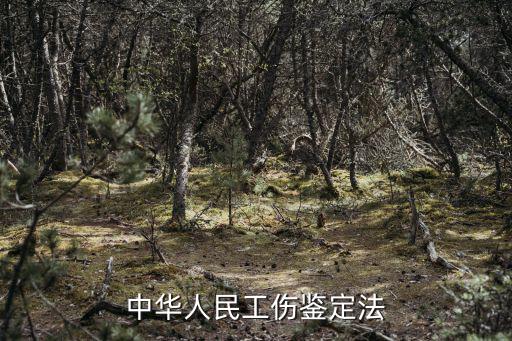 中華人民工傷鑒定法