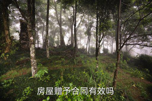 贈(zèng)送房產(chǎn)協(xié)議書在法律上有效嗎，房屋贈(zèng)予合同有效嗎