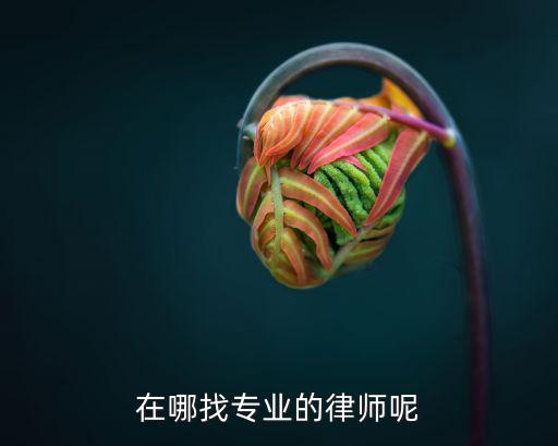 在哪找專業(yè)的律師呢