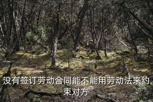 沒有簽訂勞動(dòng)合同能不能用勞動(dòng)法來約束對方