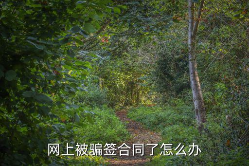 網(wǎng)上簽合同被騙怎么辦，網(wǎng)上被騙簽合同了怎么辦