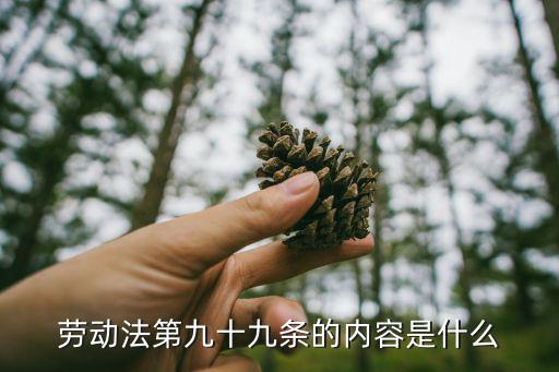 勞動法第九條內(nèi)容解讀，勞動法第九十九條的內(nèi)容是什么