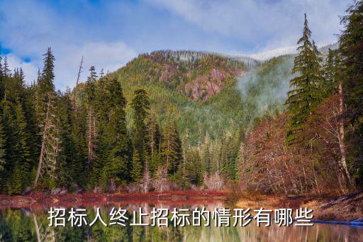 什么情況下可以終止招標(biāo)資格，什么情況下可以廢標(biāo)