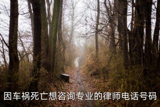 車禍律師咨詢24小時(shí)在線電話，因車禍死亡想咨詢專業(yè)的律師電話號(hào)碼