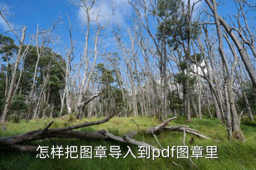 怎樣把圖章導入到pdf圖章里