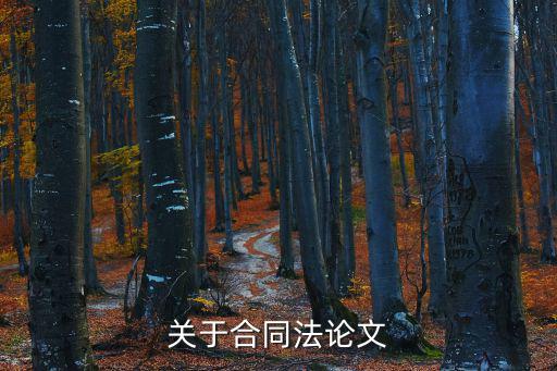 關(guān)于合同法論文