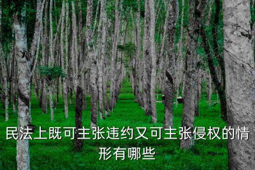 民法上既可主張違約又可主張侵權(quán)的情形有哪些