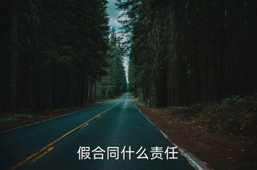 假合同什么責(zé)任