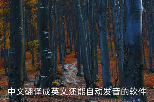 中文翻譯成英文還能自動(dòng)發(fā)音的軟件