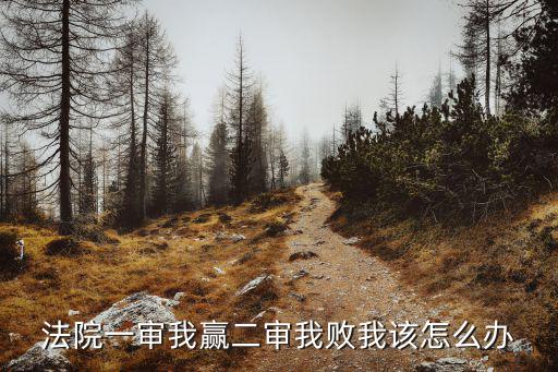 一審勝訴二審敗訴最好的解決辦法，民事案件一審勝訴二審敗訴我該怎么辦急謝謝