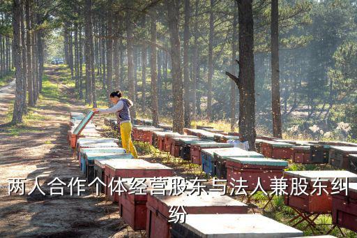 兩人合作個(gè)體經(jīng)營股東與法人兼股東糾紛