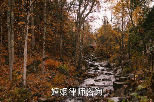 婚姻律師咨詢(xún)平臺(tái)，婚姻律師咨詢(xún)