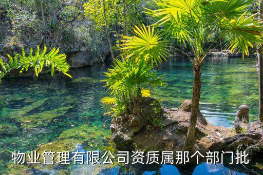 物業(yè)管理有限公司資質(zhì)屬那個部門批
