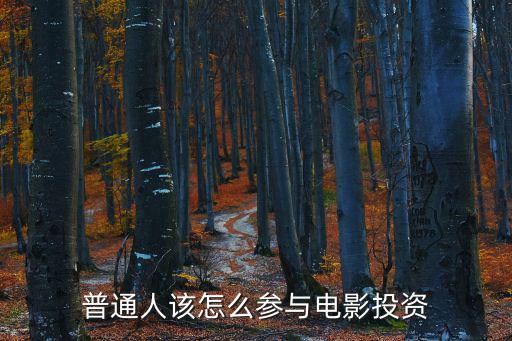 普通人該怎么參與電影投資