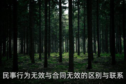 民事行為無效與合同無效的區(qū)別與聯(lián)系