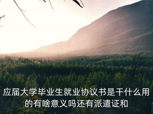 就業(yè)協(xié)議書原件是什么意思，什么是就業(yè)協(xié)議書
