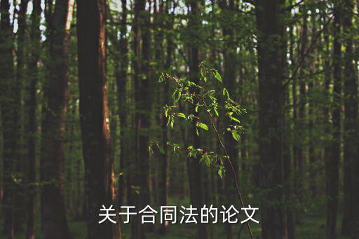 關(guān)于合同法的論文