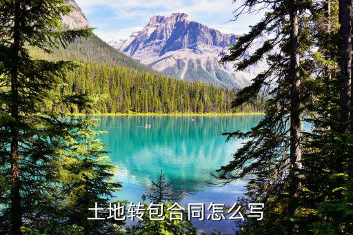 土地流轉(zhuǎn)轉(zhuǎn)包合同書，土地轉(zhuǎn)包合同怎么寫