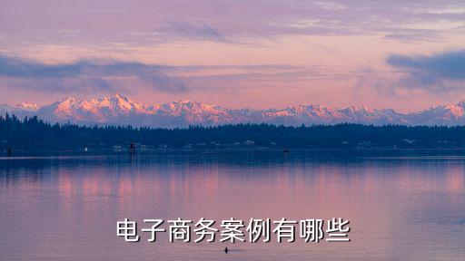 電子例子5000例，電子商務(wù)案例有哪些