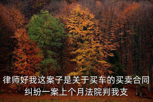 律師好我這案子是關(guān)于買車的買賣合同糾紛一案上個(gè)月法院判我支