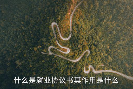 就業(yè)協(xié)議書內(nèi)容，什么是就業(yè)協(xié)議書其作用是什么