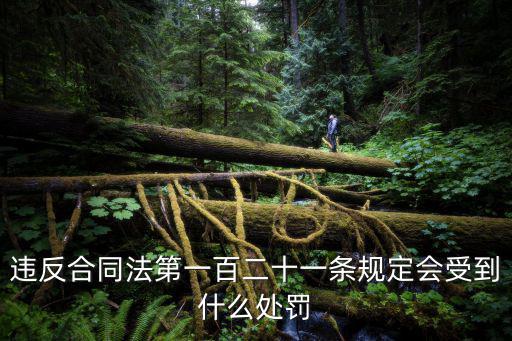 合同違規(guī)處罰，違反合同協(xié)議的法律懲罰是什么