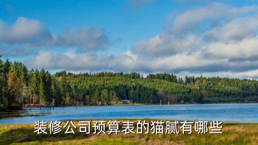 裝修公司預(yù)算表的貓膩有哪些