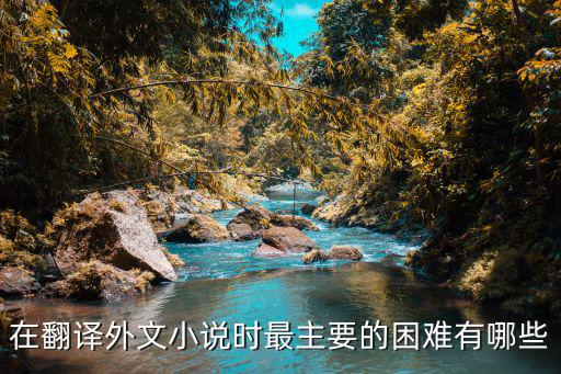 在翻譯外文小說(shuō)時(shí)最主要的困難有哪些