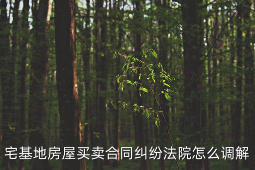 宅基地房屋買賣合同糾紛法院怎么調(diào)解