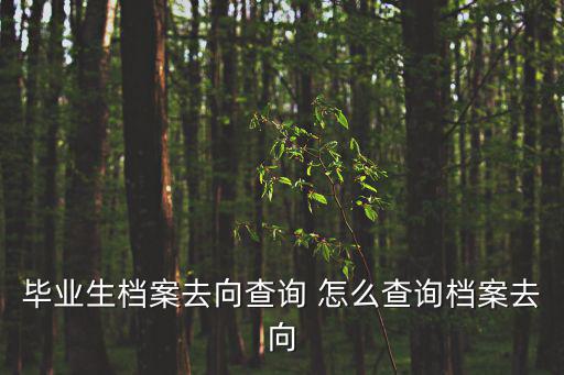 畢業(yè)生檔案去向查詢(xún) 怎么查詢(xún)檔案去向