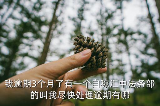 法務(wù)公司處理網(wǎng)貸，我逾期3個月了有一個自稱匯中法務(wù)部的叫我盡快處理逾期有哪