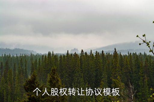 個人股權(quán)轉(zhuǎn)讓協(xié)議模板