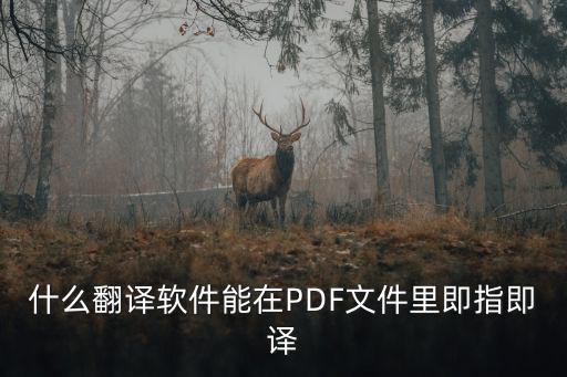 什么翻譯軟件能在PDF文件里即指即譯