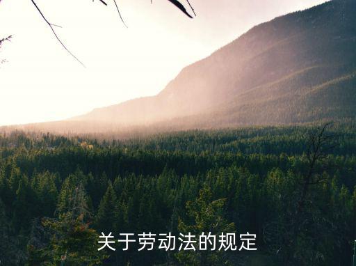 勞動法詳細(xì)條款，勞動法法規(guī)最新條例一共有幾條