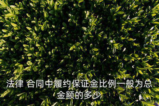 法律 合同中履約保證金比例一般為總金額的多少