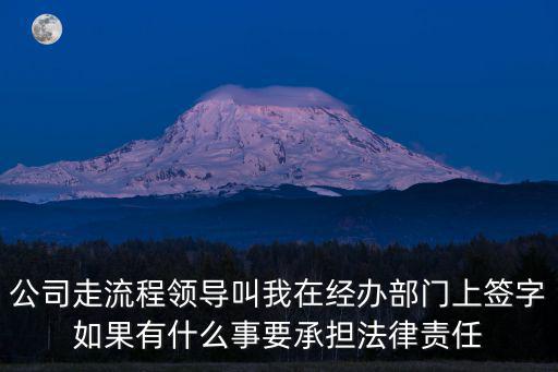 公司走流程領(lǐng)導(dǎo)叫我在經(jīng)辦部門上簽字如果有什么事要承擔(dān)法律責(zé)任