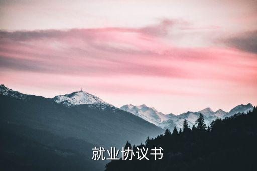 就業(yè)協(xié)議書 模板，就業(yè)協(xié)議書