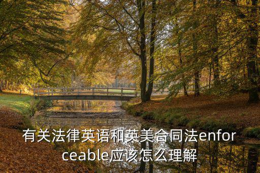 有關(guān)法律英語(yǔ)和英美合同法enforceable應(yīng)該怎么理解