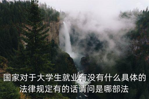 國家對于大學(xué)生就業(yè)有沒有什么具體的法律規(guī)定有的話請問是哪部法