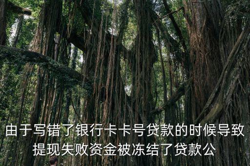 貸款把卡號(hào)填錯(cuò)了資金被凍結(jié)了，由于寫(xiě)錯(cuò)了銀行卡卡號(hào)貸款的時(shí)候?qū)е绿岈F(xiàn)失敗資金被凍結(jié)了貸款公