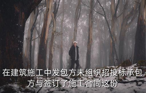 收購(gòu)的在建工程未招標(biāo)，建設(shè)工程施工合同未進(jìn)行招投標(biāo)是否有效