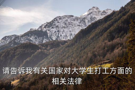 關(guān)于大學(xué)生就業(yè)的政策及法律，大學(xué)生畢業(yè)就業(yè)國家都有什么好政策