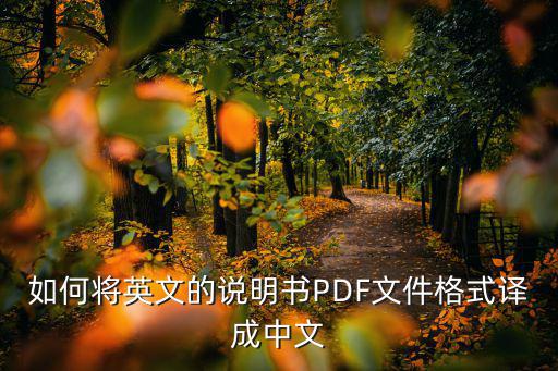 如何將英文的說(shuō)明書PDF文件格式譯成中文