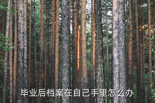 大學畢業(yè)后檔案在自己手里怎么辦，畢業(yè)后檔案在自己手里怎么辦
