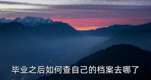 畢業(yè)之后如何查自己的檔案去哪了